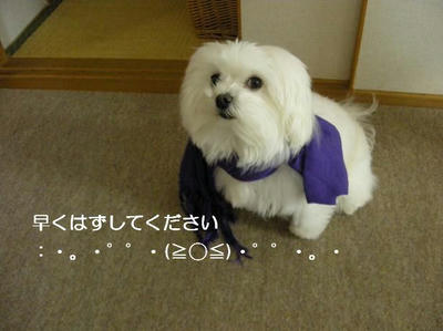 DSCN8891.JPG