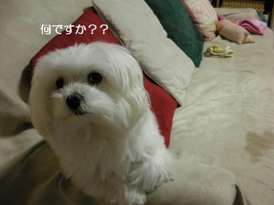DSCN8849.JPG