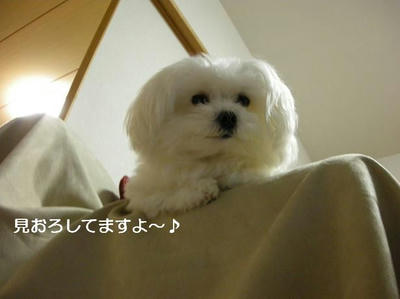 DSCN8855.JPG