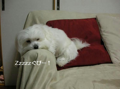 DSCN8862.JPG