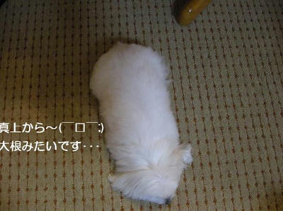 DSCN8569.JPG