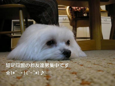 DSCN8571.JPG