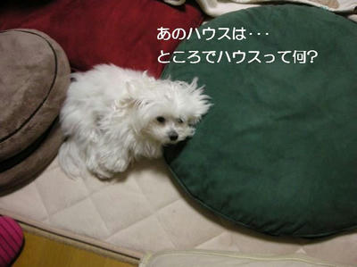 DSCN8537.JPG