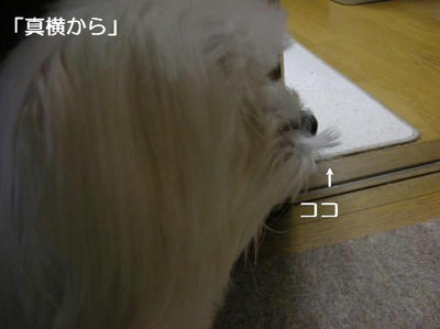 DSCN8899.JPG