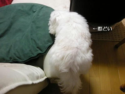DSCN8915.JPG