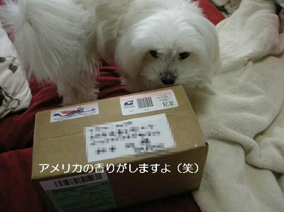 DSCN8946.JPG