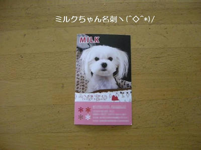 DSCN8947.JPG