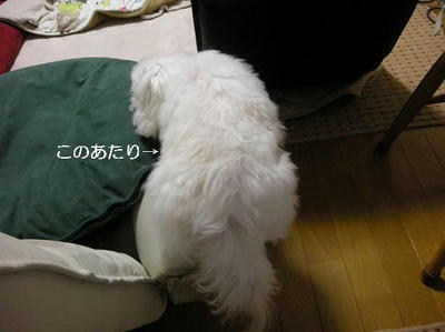 DSCN8918.JPG