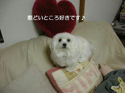 DSCN8921.JPG