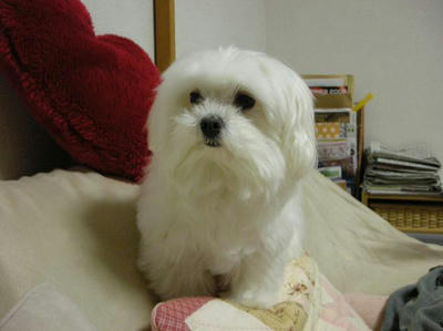 DSCN8929.JPG