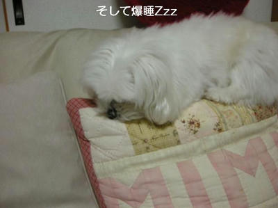 DSCN8930.JPG
