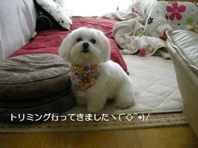 DSCN8963.JPG