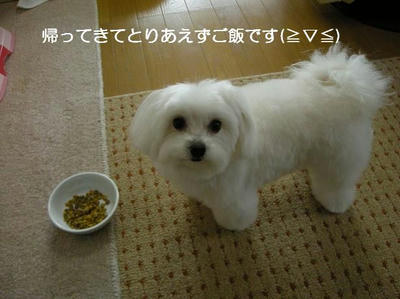 DSCN8969.JPG