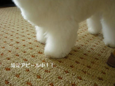 DSCN8972.JPG