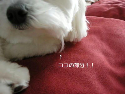 DSCN8975.JPG