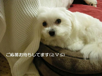 DSCN8979.JPG