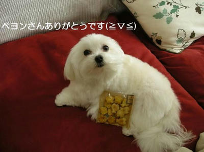 DSCN9001.JPG