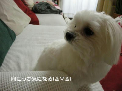 DSCN8984.JPG