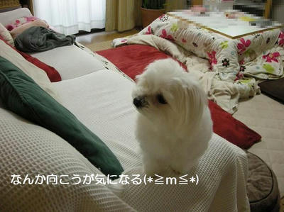 DSCN8985.JPG