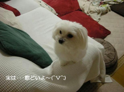 DSCN8988.JPG