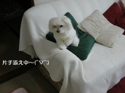 DSCN9007.JPG