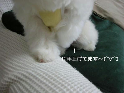 DSCN9008.JPG