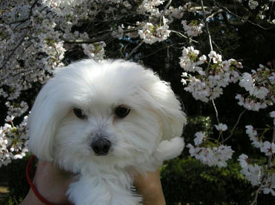 DSCN9032.JPG