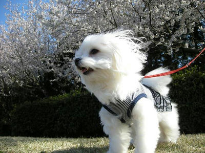 DSCN9056.JPG