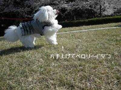 DSCN9069.JPG