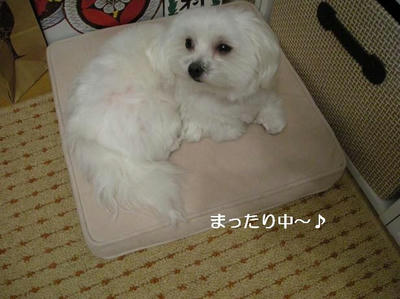 DSCN9014.JPG