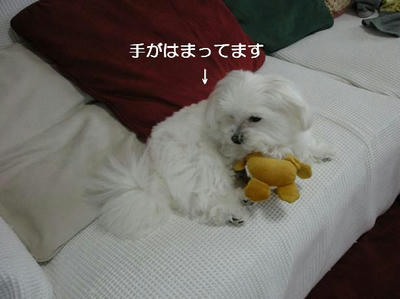 DSCN9090.JPG