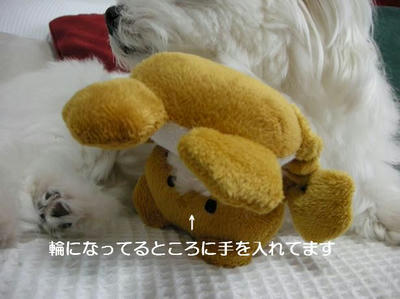 DSCN9091.JPG