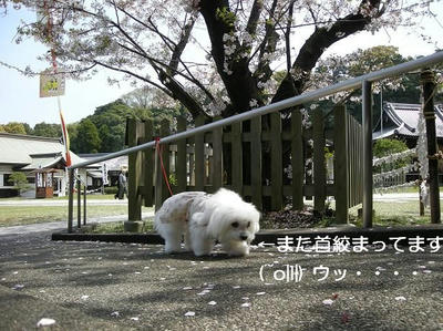 DSCN9124.JPG