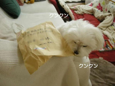 DSCN9138.JPG