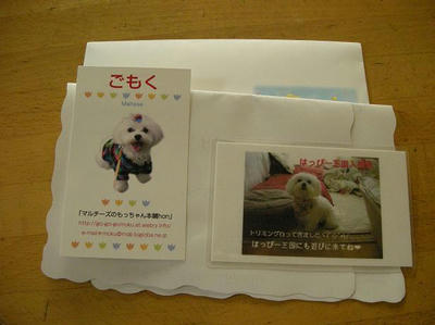 DSCN9139.JPG