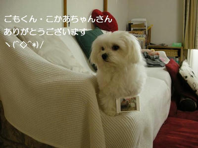 DSCN41.JPG