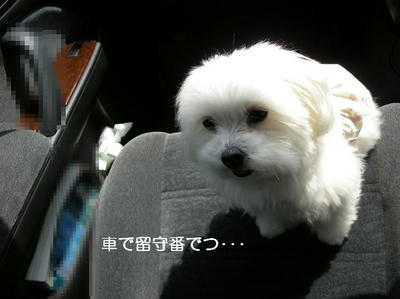 DSCN9101.JPG