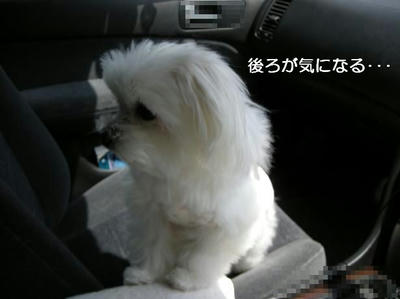 DSCN9105.JPG