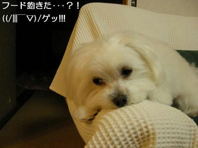 DSCN9026.JPG