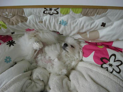 DSCN9222.JPG