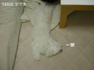 DSCN9392.JPG
