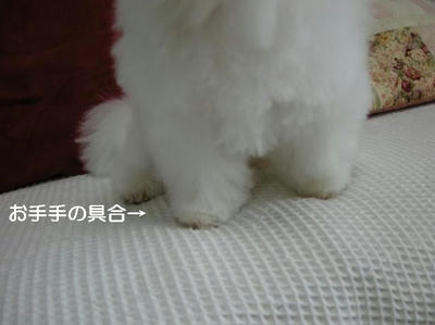 DSCN9419.JPG