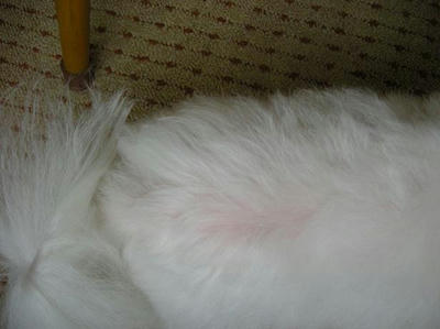DSCN9425.JPG