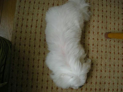 DSCN9426.JPG