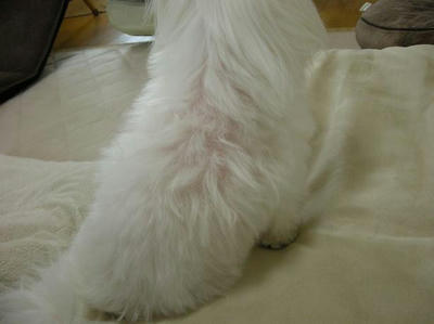 DSCN9507.JPG