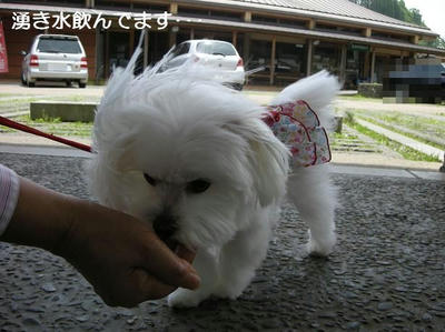 DSCN9479.JPG