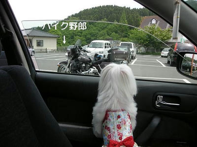 DSCN9491.JPG