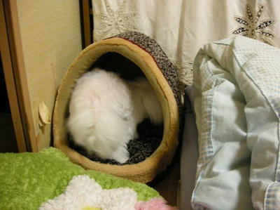 DSCN9444.JPG