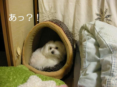 DSCN9451.JPG