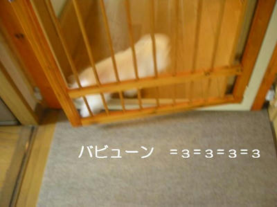 DSCN9411.JPG